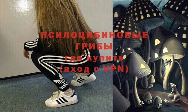 соль курить ск Болотное
