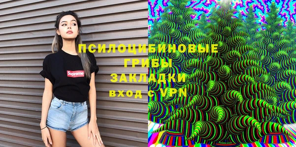 ПСИЛОЦИБИНОВЫЕ ГРИБЫ Абаза