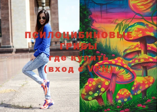ПСИЛОЦИБИНОВЫЕ ГРИБЫ Абаза