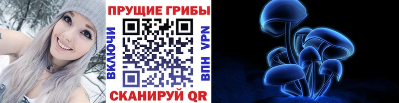 kraken как войти  Калач  Галлюциногенные грибы MAGIC MUSHROOMS 